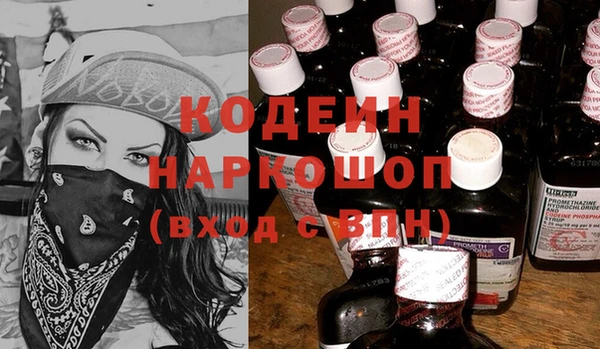 молекула духа Новодвинск