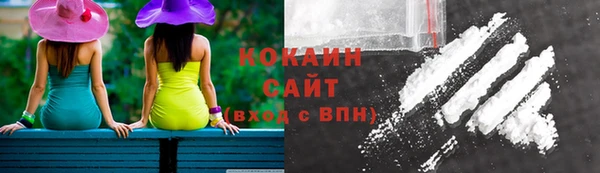 молекула духа Новодвинск