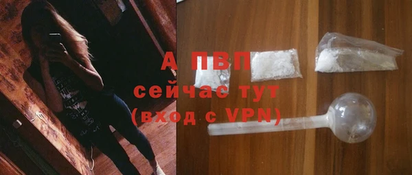 молекула духа Новодвинск
