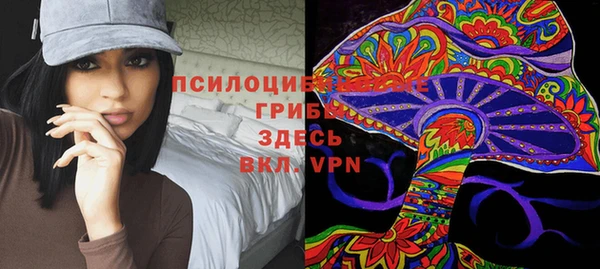 а пвп мука Новозыбков