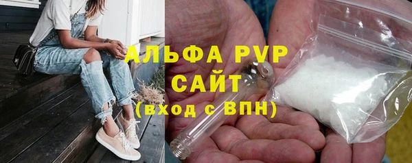 молекула духа Новодвинск