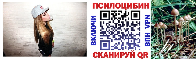 наркотики Солигалич мега tor Псилоцибиновые грибы Cubensis